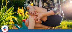 How Urgent Care Handles Insect Sting Allergies? | Columbia Clinic Urgent Care Near Me in Tibbetts St Portland, Stark Street Portland, and Tigard, OR. How Urgent Care Handles Insect Sting Allergies? | Columbia Clinic Urgent Care Near Me in Tibbetts St Portland, Stark Street Portland, and Tigard, OR.